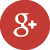 Google+